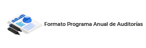 Formato Programa Anual de Auditorías